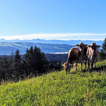 شقة Bergwolke Mit Pool, Sauna & Bergblick
