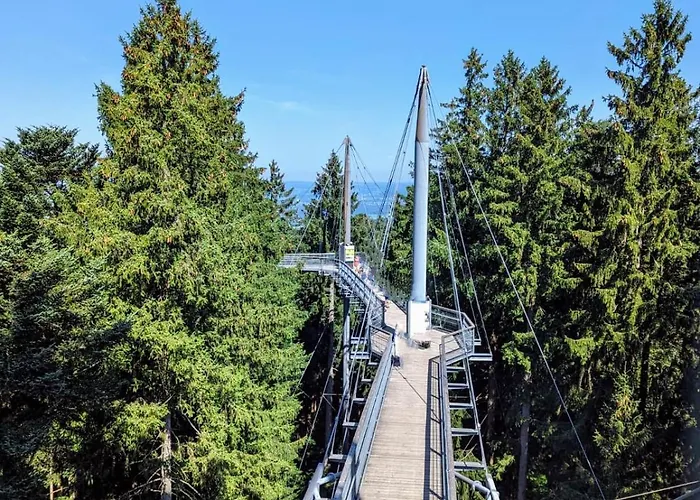 Bergwolke Mit Pool&sauna * Scheidegg
